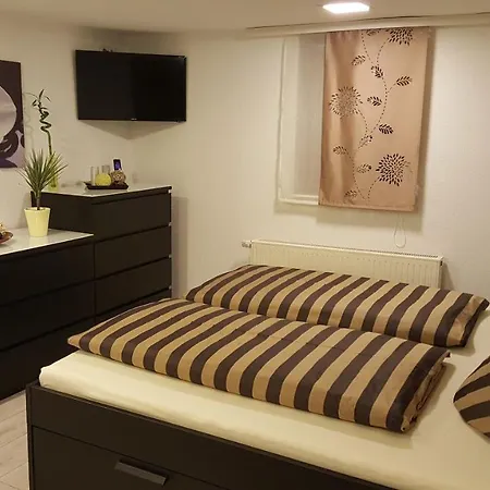 Ferienwohnung Nicole Schneeberg  Esterno foto